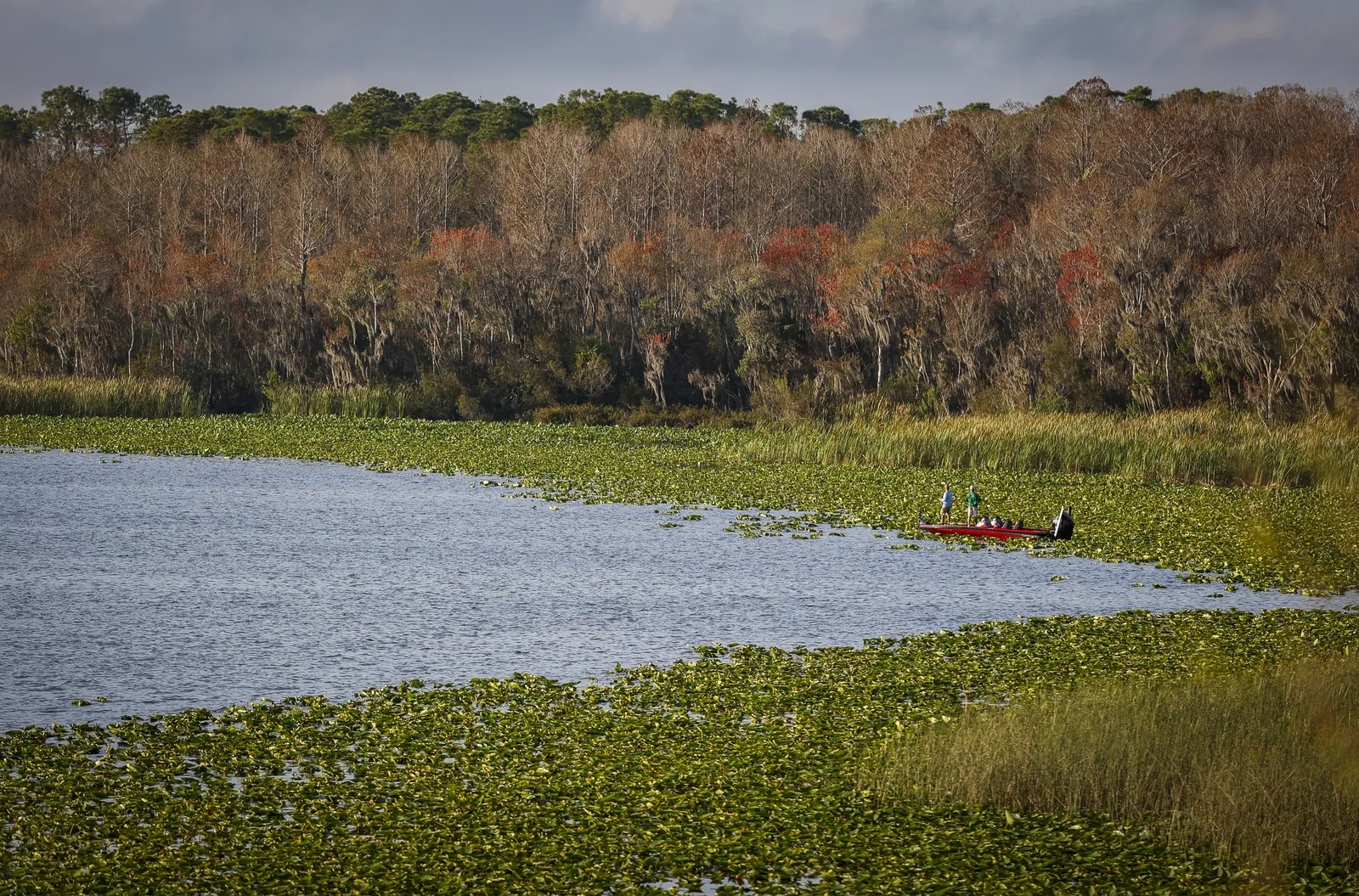 Epoxy Flooring in East Lake, FL